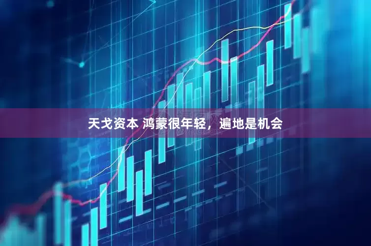 天戈资本 鸿蒙很年轻，遍地是机会