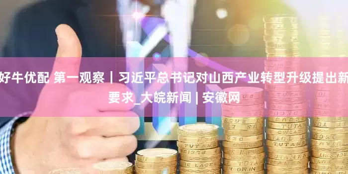 好牛优配 第一观察｜习近平总书记对山西产业转型升级提出新要求_大皖新闻 | 安徽网
