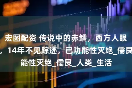 宏图配资 传说中的赤鱬，西方人眼里的美人鱼，14年不见踪迹，已功能性灭绝_儒艮_人类_生活