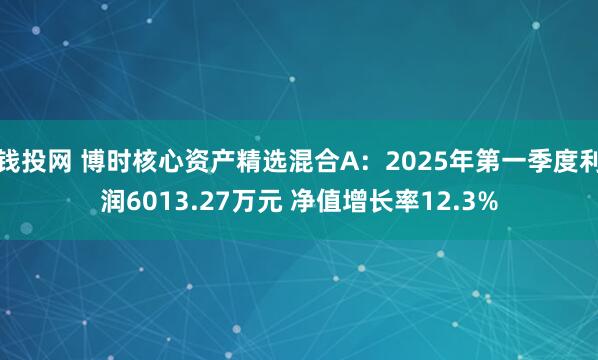 钱投网 博时核心资产精选混合A：2025年第一季度利润6013.27万元 净值增长率12.3%