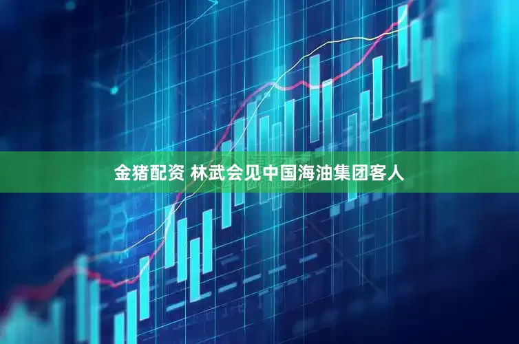 金猪配资 林武会见中国海油集团客人